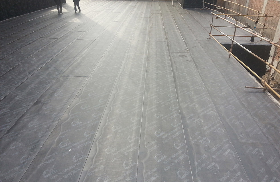 bte365官网-不凡成就非凡,相信品牌力量