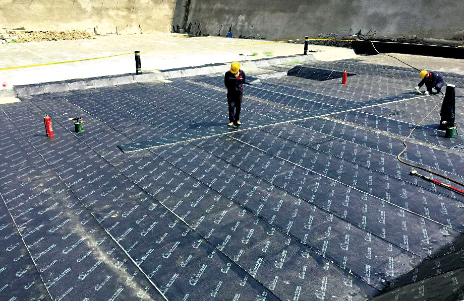 bte365官网-不凡成就非凡,相信品牌力量