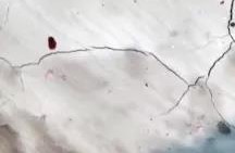 bte365官网-不凡成就非凡,相信品牌力量