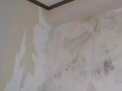 bte365官网-不凡成就非凡,相信品牌力量