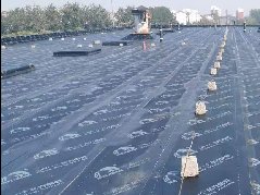 bte365官网-不凡成就非凡,相信品牌力量