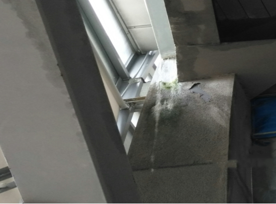 bte365官网-不凡成就非凡,相信品牌力量