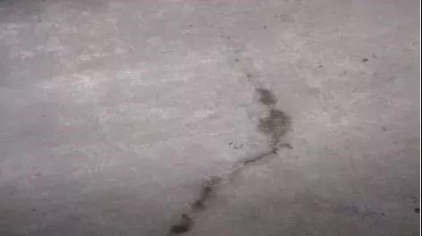 bte365官网-不凡成就非凡,相信品牌力量