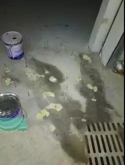 bte365官网-不凡成就非凡,相信品牌力量