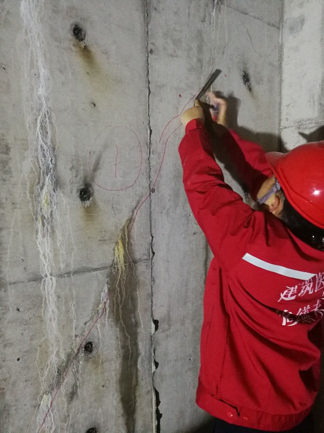 bte365官网-不凡成就非凡,相信品牌力量