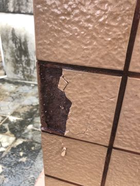 bte365官网-不凡成就非凡,相信品牌力量