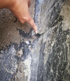 bte365官网-不凡成就非凡,相信品牌力量