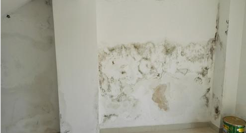 bte365官网-不凡成就非凡,相信品牌力量