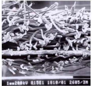 bte365官网-不凡成就非凡,相信品牌力量