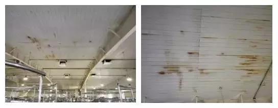 bte365官网-不凡成就非凡,相信品牌力量