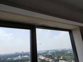 bte365官网-不凡成就非凡,相信品牌力量