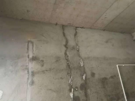 bte365官网-不凡成就非凡,相信品牌力量