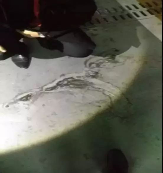 bte365官网-不凡成就非凡,相信品牌力量