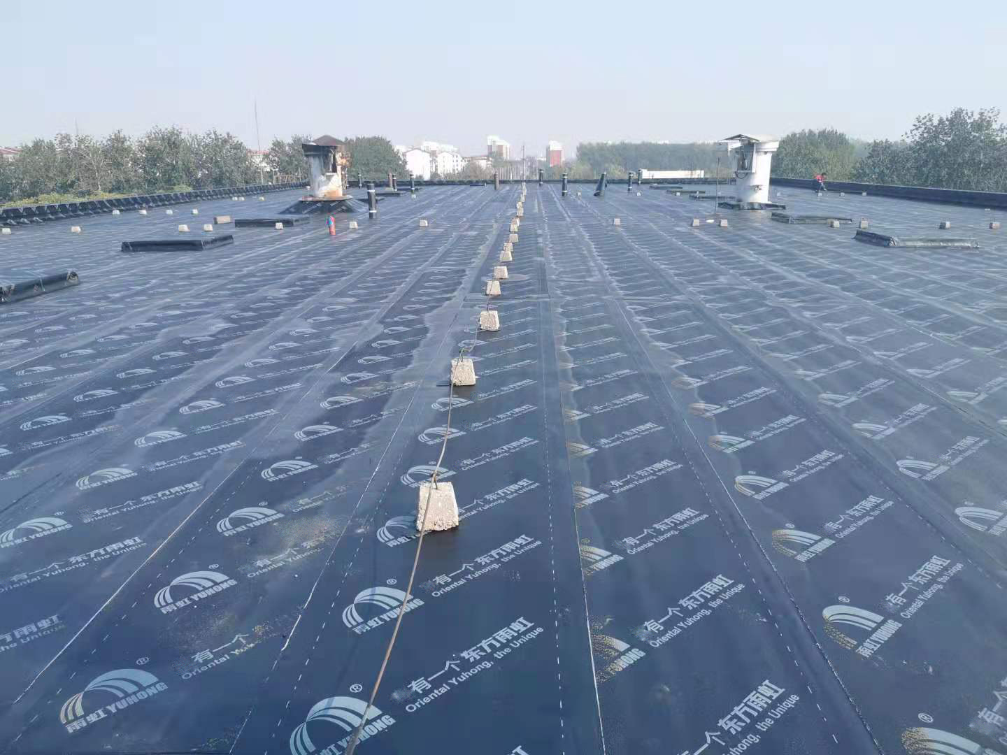 bte365官网-不凡成就非凡,相信品牌力量