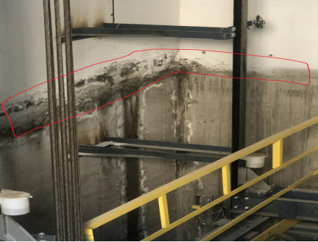 bte365官网-不凡成就非凡,相信品牌力量