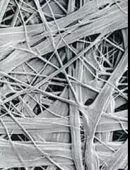 bte365官网-不凡成就非凡,相信品牌力量