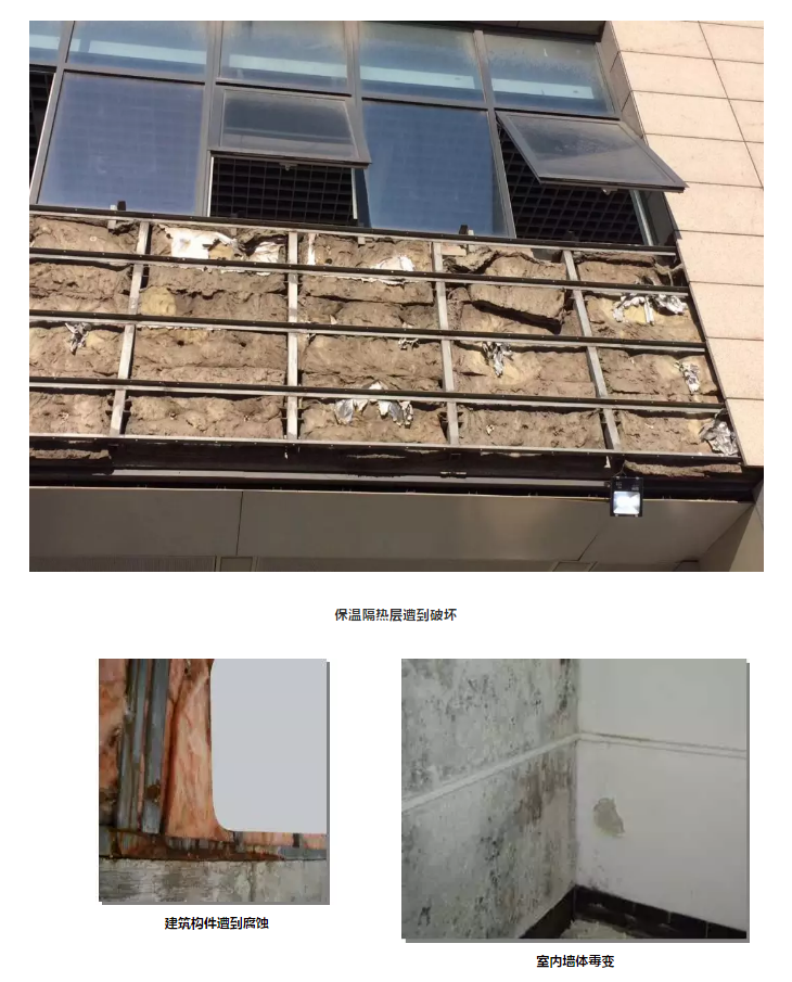 bte365官网-不凡成就非凡,相信品牌力量