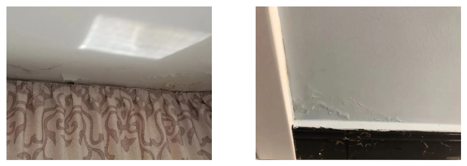 bte365官网-不凡成就非凡,相信品牌力量