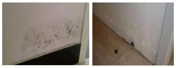 bte365官网-不凡成就非凡,相信品牌力量