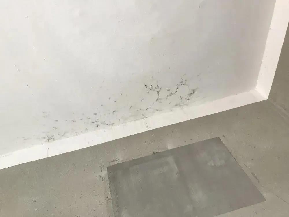 bte365官网-不凡成就非凡,相信品牌力量