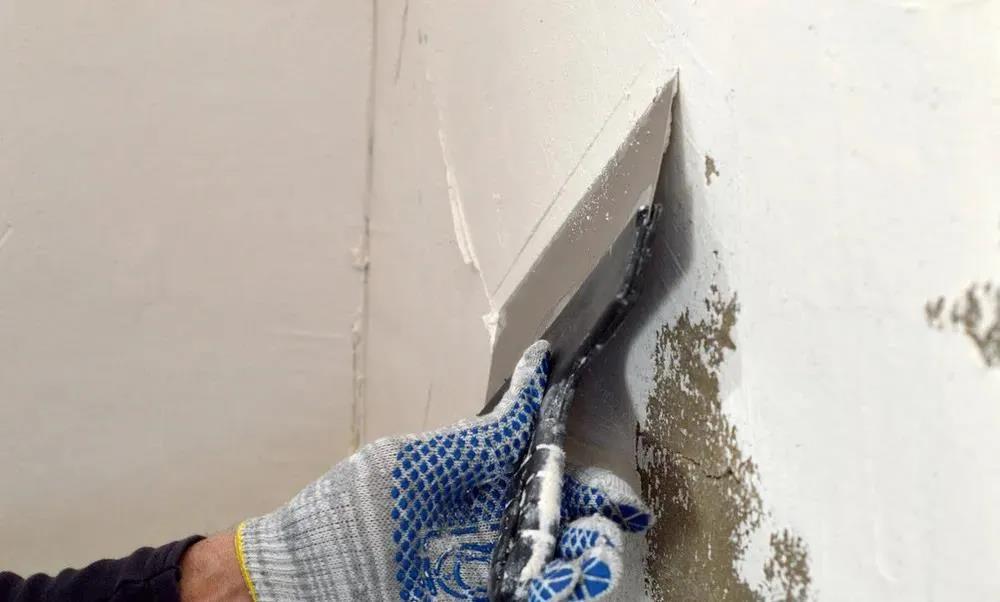 bte365官网-不凡成就非凡,相信品牌力量