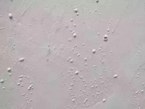 bte365官网-不凡成就非凡,相信品牌力量