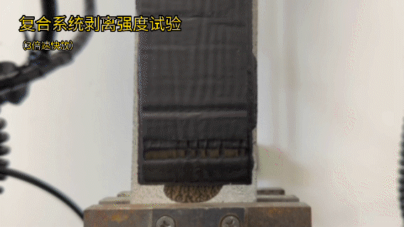 bte365官网-不凡成就非凡,相信品牌力量