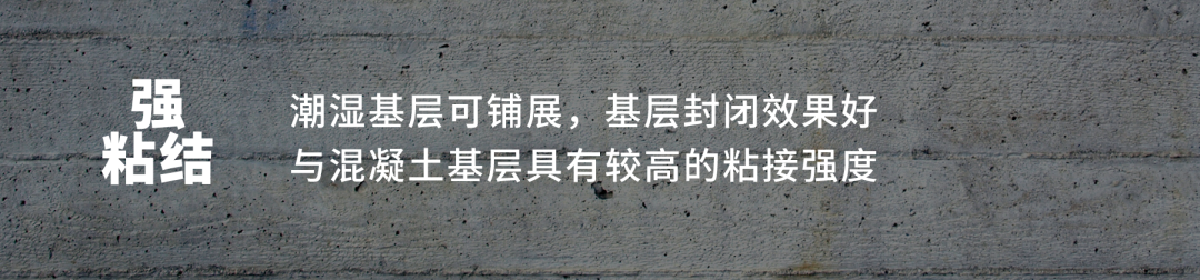 bte365官网-不凡成就非凡,相信品牌力量