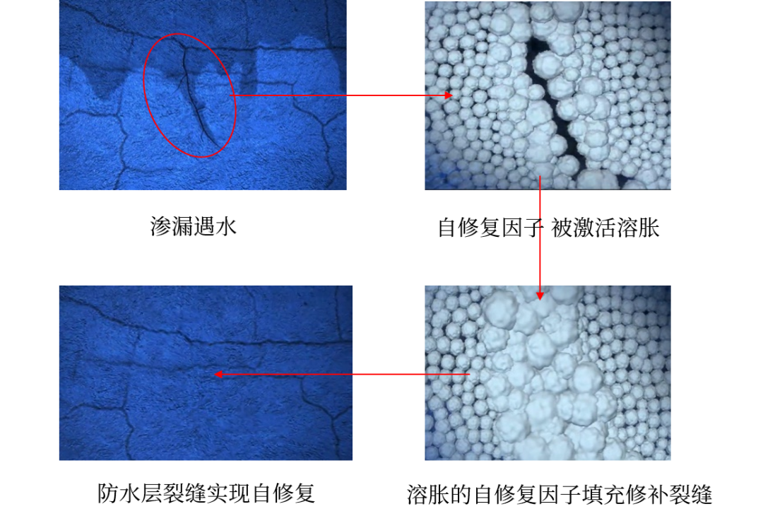 bte365官网-不凡成就非凡,相信品牌力量